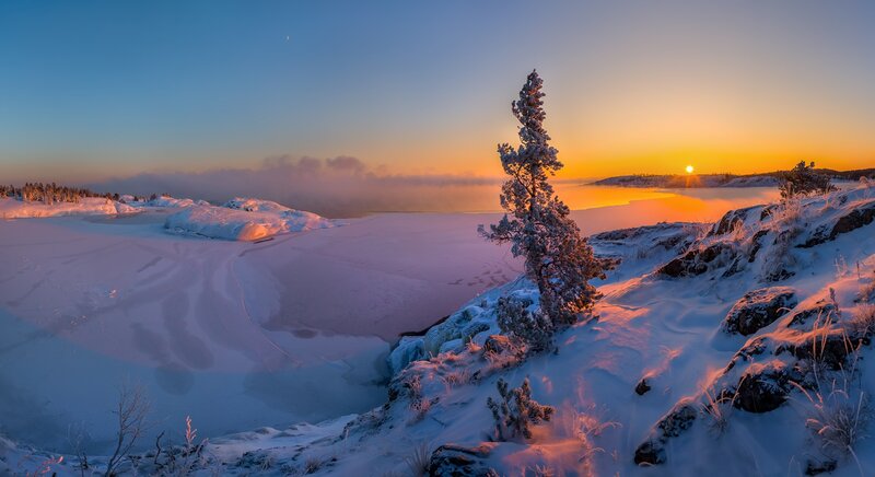 Snow-covered Tree on Cliff — Blue, Serene, Winter, Photograph