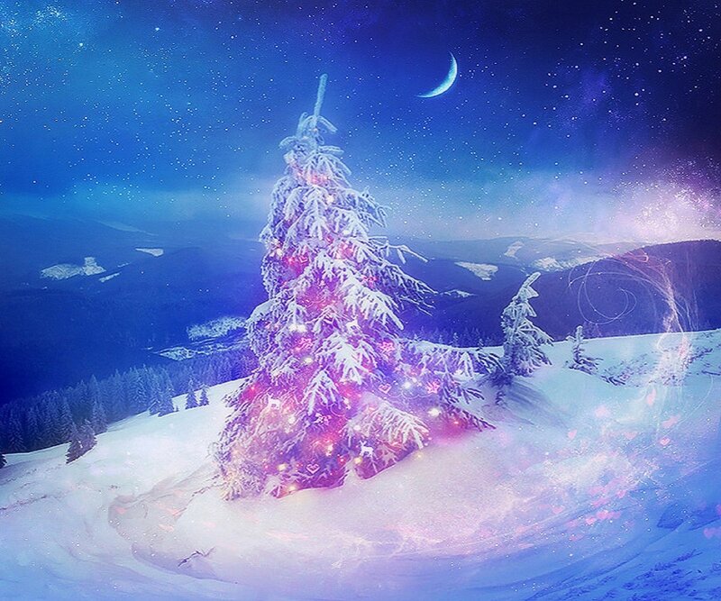 Snow-covered Tree on Mountain — Blue