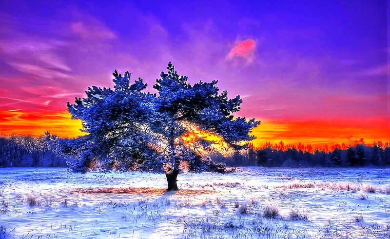 Snow-covered Tree — Purple, Dramatic, Winter, Digital Art