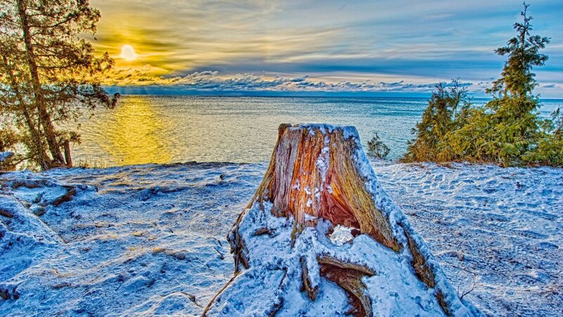 Snow-covered Tree Stump — Blue