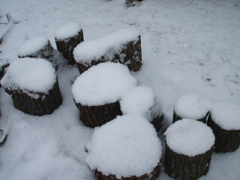Snow-covered Tree Stumps