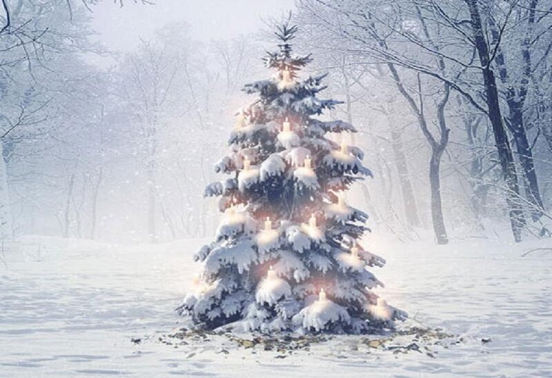 Snow-covered Tree — White, Serene, Winter, Digital Art, Candles
