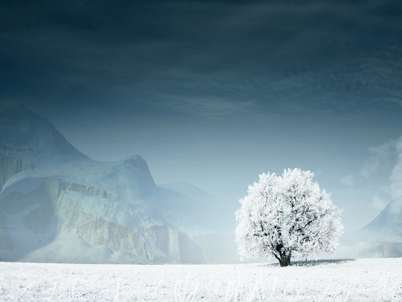 Snow-covered Tree — White, Serene, Winter, Digital Art, Mountains