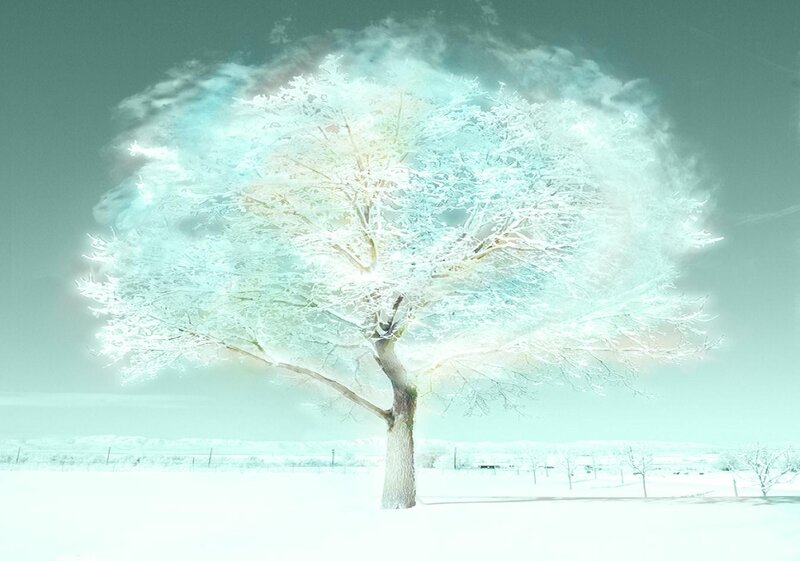 Snow-covered Tree — White, Serene, Winter, Digital Art, Snow