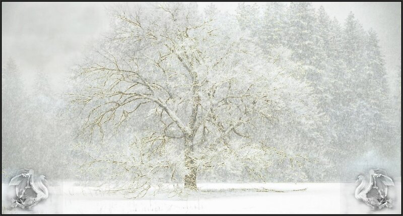 Snow-covered Tree — White, Serene, Winter, Digital Art, Trees