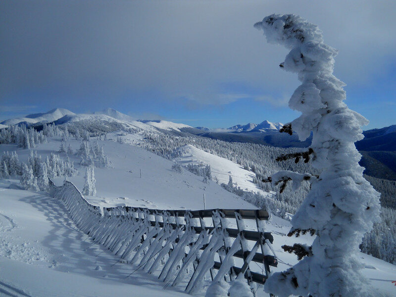 Snow-covered Tree — White, Serene, Winter, Photograph, Mountains