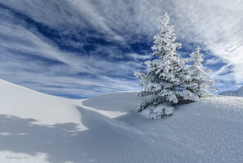 Snow-covered Tree — White, Serene, Winter, Photograph, Snow, Sky, Clouds