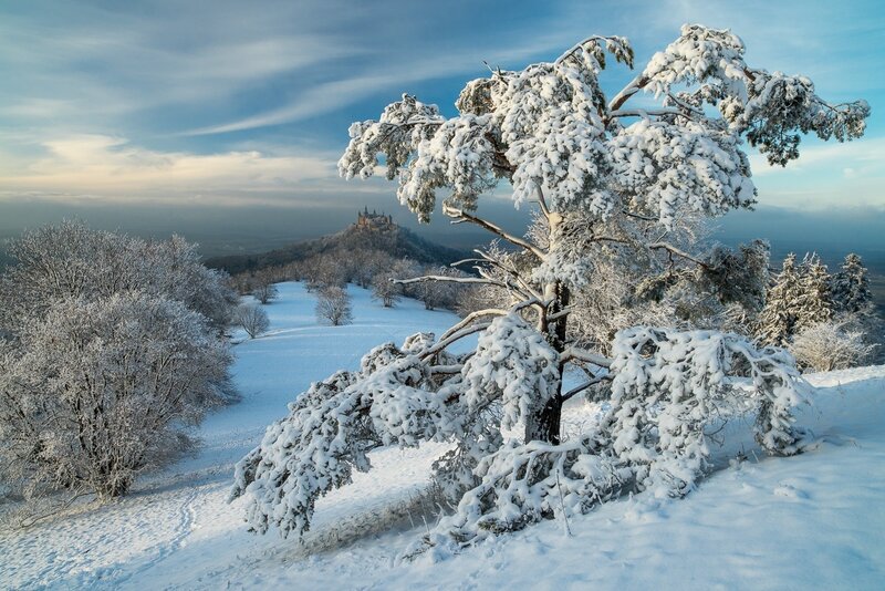 Snow-covered Tree with Castle
