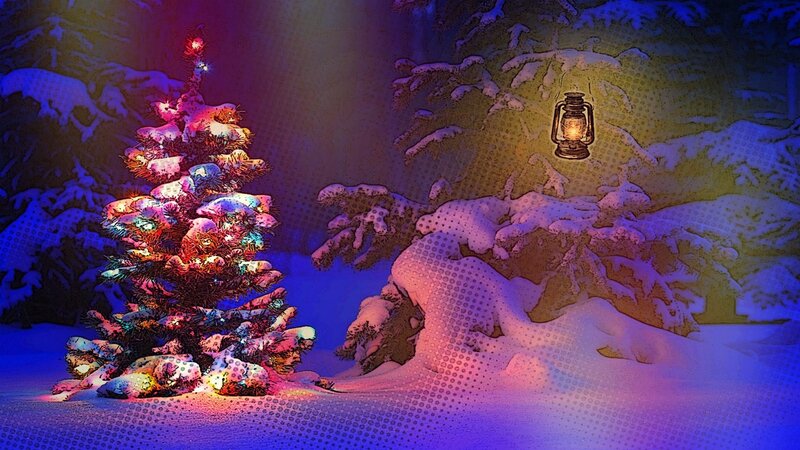Snow-covered Tree with Lights — Blue, Festive, Night
