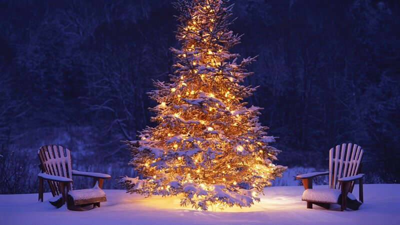 Snow-covered Tree with Lights — Blue, Serene, Night, Photograph, Chairs, Snow, Forest, Yellow