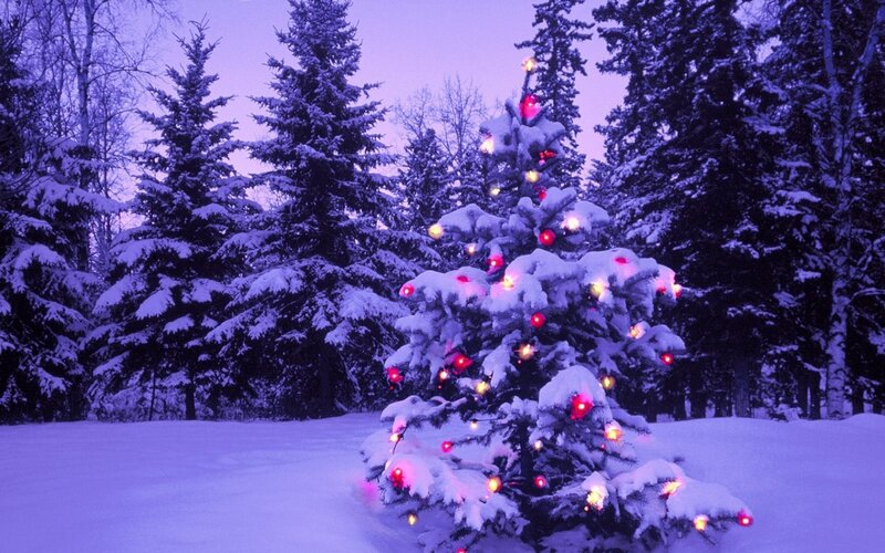 Snow-covered Tree with Lights — Purple, Serene, Winter
