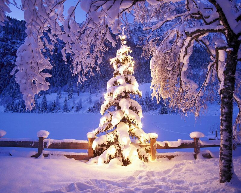 Snow-covered Tree with Lights