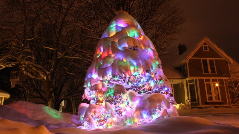 Snow-covered Tree with Lights — White, Festive, Night