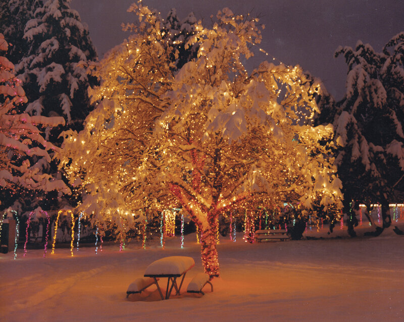 Snow-covered Tree with Lights — White, Festive