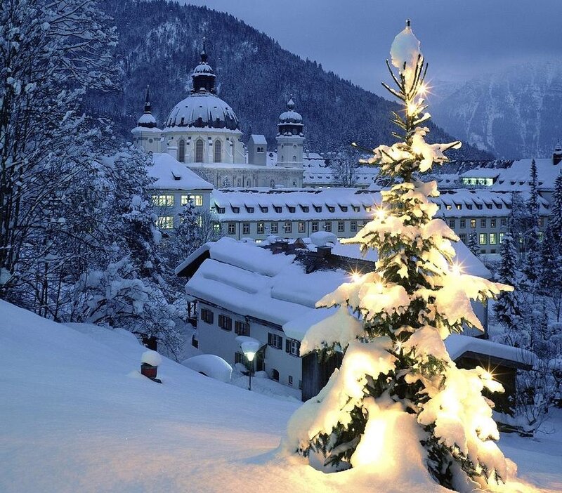 Snow-covered Tree with Lights — White, Serene, Night, Photograph, Building