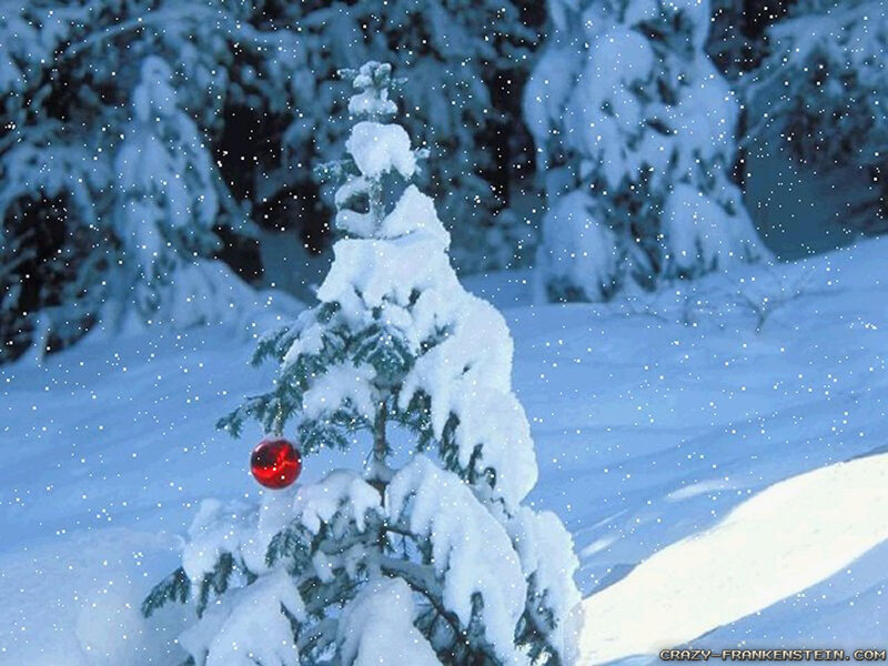 Snow-covered Tree with Ornament