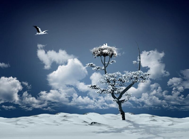 Snow-covered Tree with Stork
