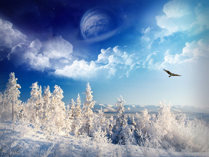 Snow-covered Trees and Bird — Blue, Serene, Winter, Digital Art, Clouds, Planet, White, Aldo 2013