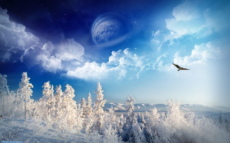 Snow-covered Trees and Bird — Blue, Serene, Winter, Digital Art, Clouds, Planet, White