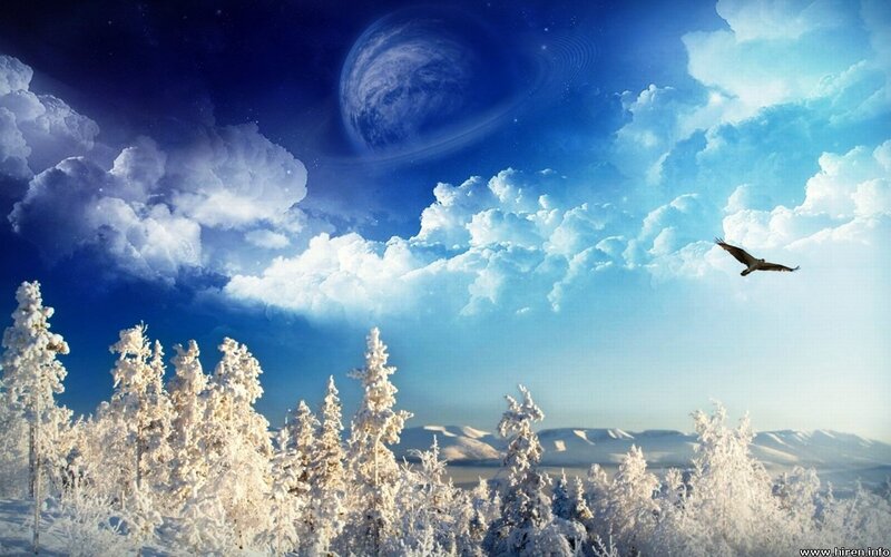 Snow-covered Trees and Bird — Blue, Serene, Winter, Digital Art, Clouds