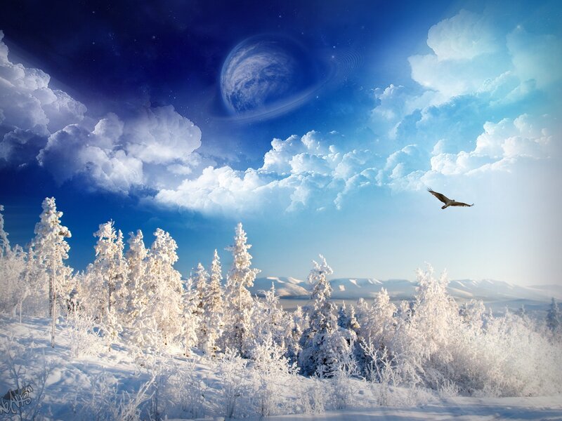 Snow-covered Trees and Bird — Blue, Serene, Winter, Digital Art