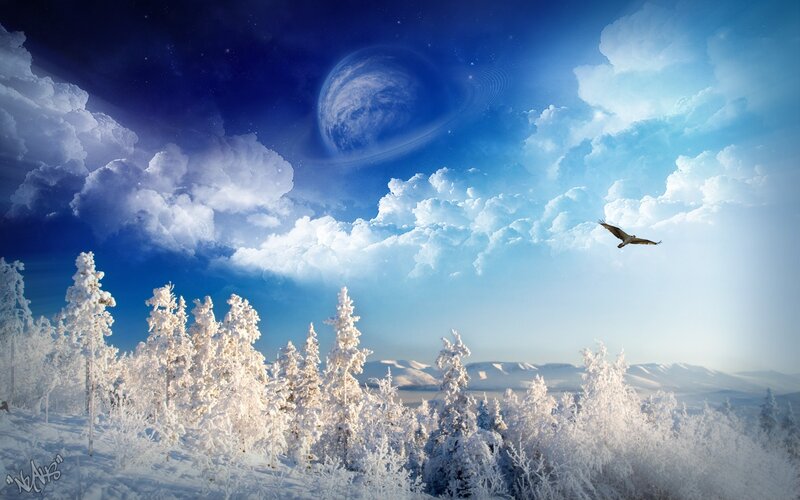 Snow-covered Trees and Bird — Blue, Serene, Winter