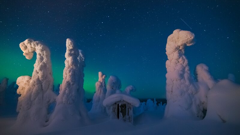 Snow-covered Trees and Cabin — Blue, Serene, Night