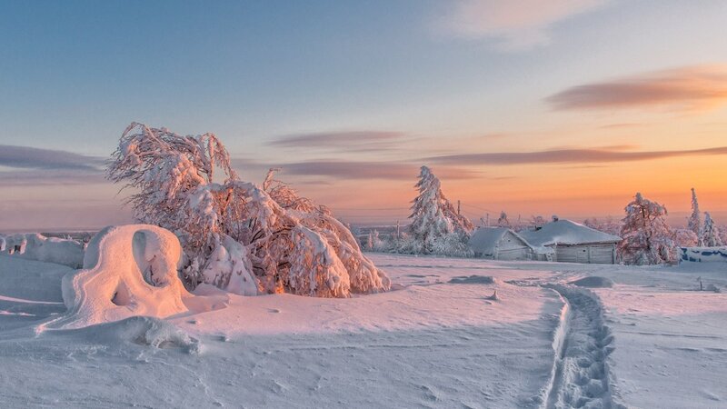 Snow-covered Trees and Cabin — White, Serene, Sunset