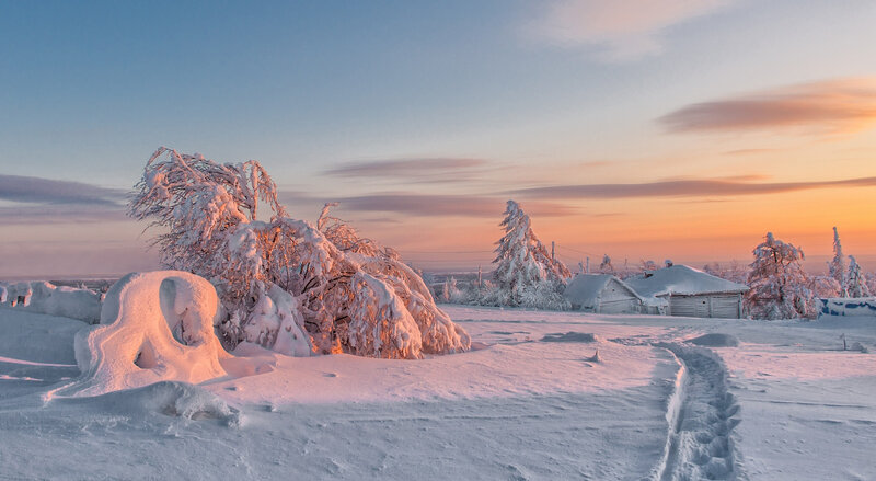 Snow-covered Trees and Cabin — White, Serene