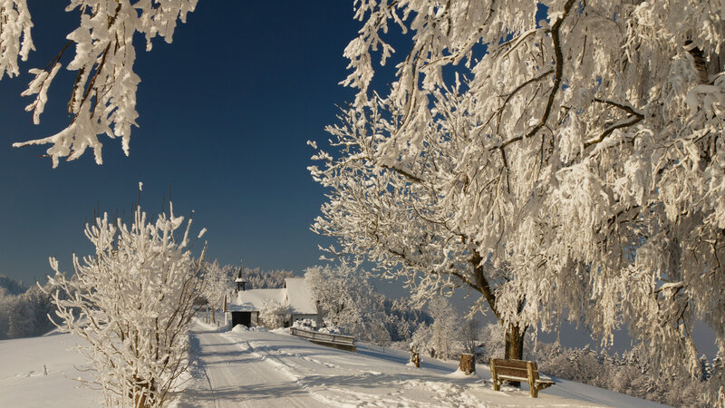 Snow-covered Trees and Church