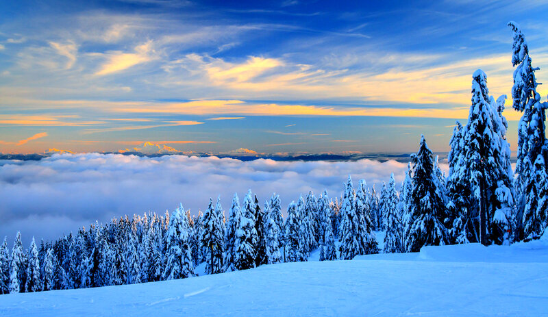 Snow-covered Trees and Clouds