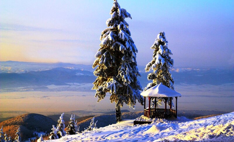 Snow-covered Trees and Gazebo