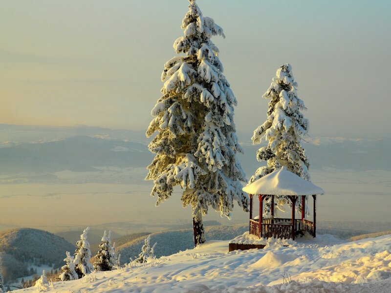 Snow-covered Trees and Gazebo — White, Serene