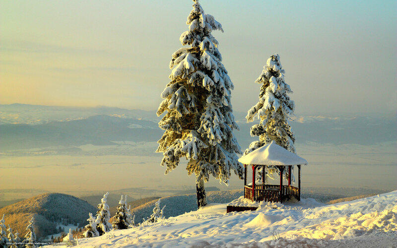Snow-covered Trees and Gazebo — White, Serene, Winter, Photograph, Mountains