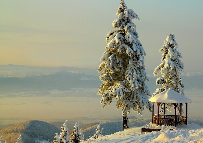 Snow-covered Trees and Gazebo — White, Serene, Winter