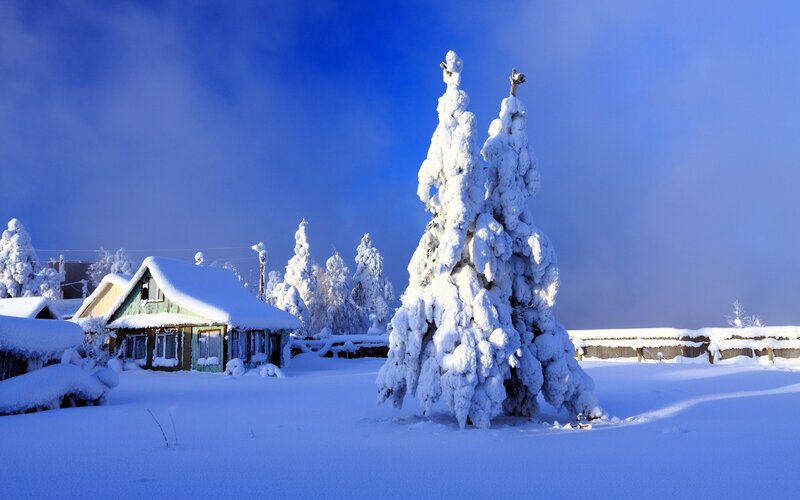 Snow-covered Trees and House — Blue, Serene, Winter, Photograph, Fence