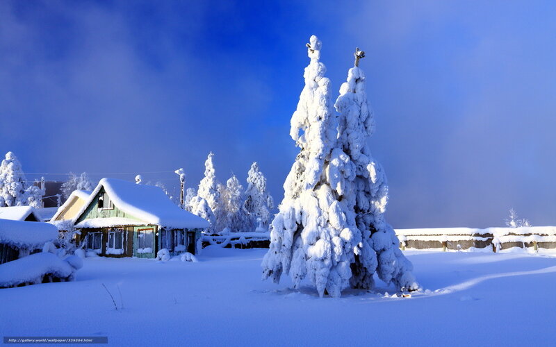 Snow-covered Trees and House — Blue, Serene, Winter