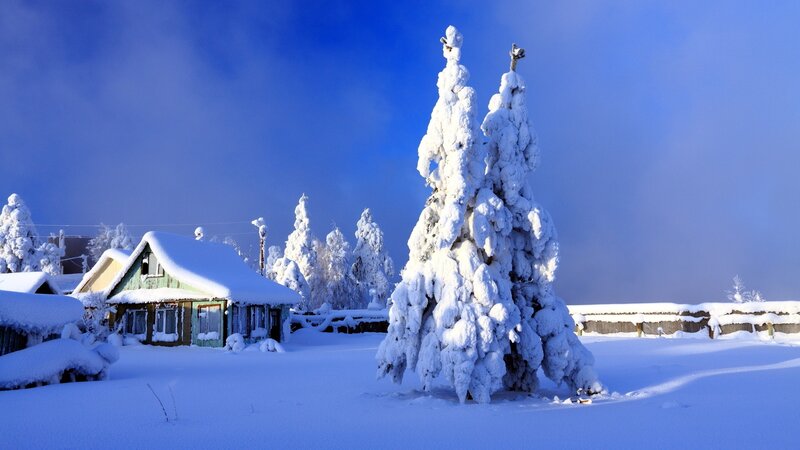Snow-covered Trees and House — Blue