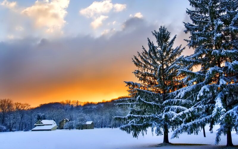 Snow-covered Trees and Houses — Orange
