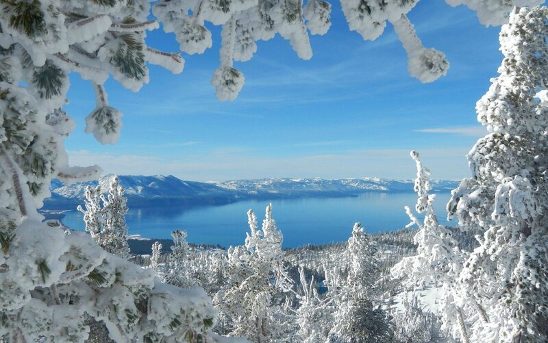 Snow-covered Trees and Lake — Blue, Serene