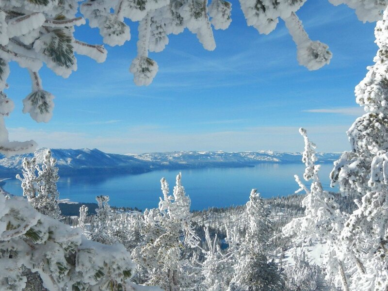 Snow-covered Trees and Lake — Blue