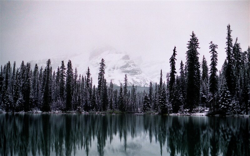 Snow-covered Trees and Lake — Green