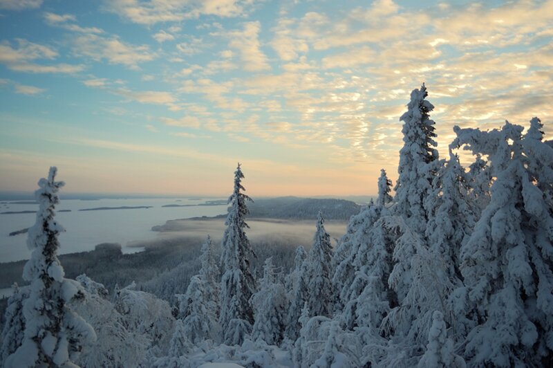 Snow-covered Trees and Lake