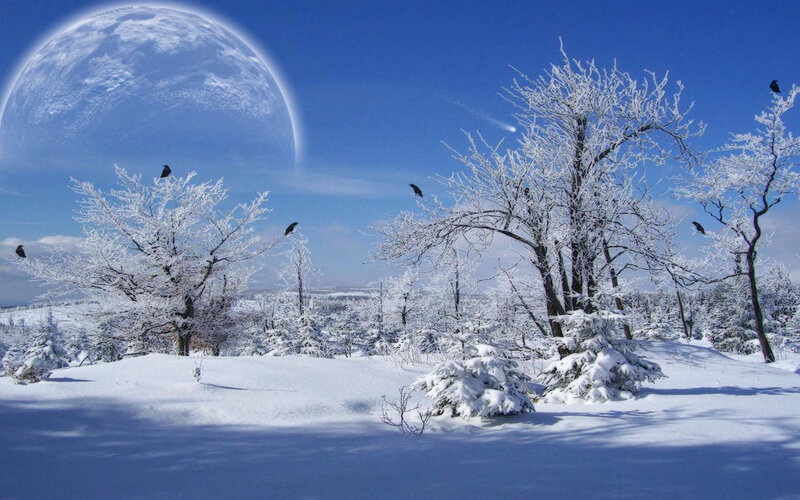 Snow-covered Trees and Moon — Blue