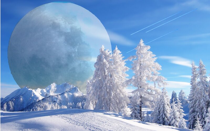 Snow-covered Trees and Moon