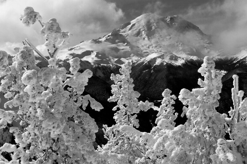 Snow-covered Trees and Mountain — Black
