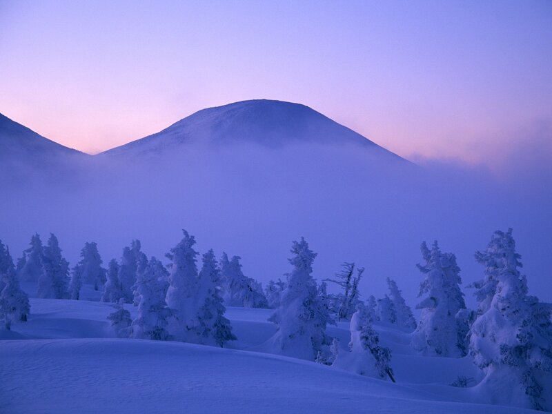 Snow-covered Trees and Mountain — Blue