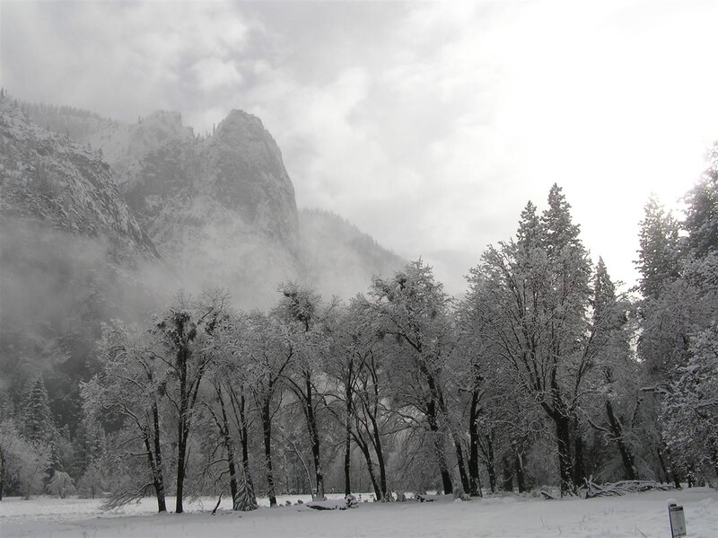 Snow-covered Trees and Mountain — White, Serene, Winter, Photograph
