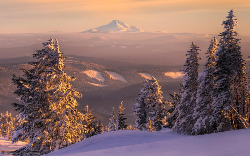 Snow-covered Trees and Mountain — White, Serene, Winter