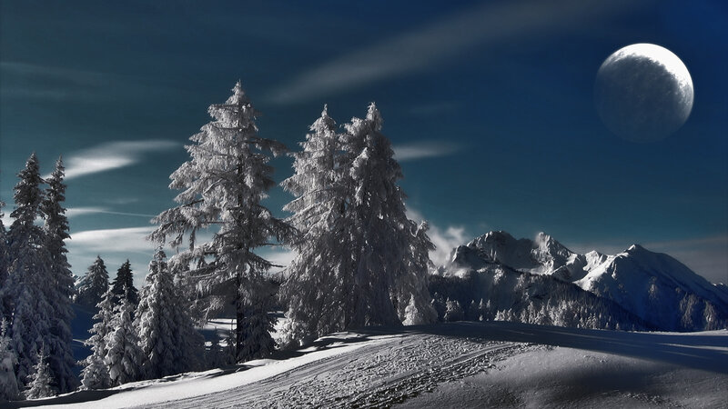 Snow-covered Trees and Mountains — Blue, Dramatic, Night
